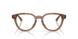 6469 - Brown