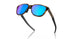 925004 - Tortoise - Prizm Sapphire Polarized