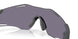 951205 - Grey - Prizm Grey