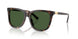 500371 - Tortoise - Bottle Green