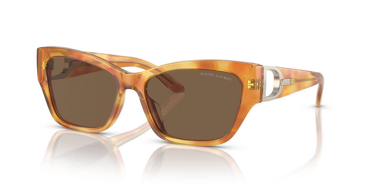 605173 - Tortoise - Brown