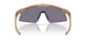 922914 - Brown - Prizm Grey