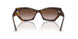 135913 - Tortoise - Gradient Brown
