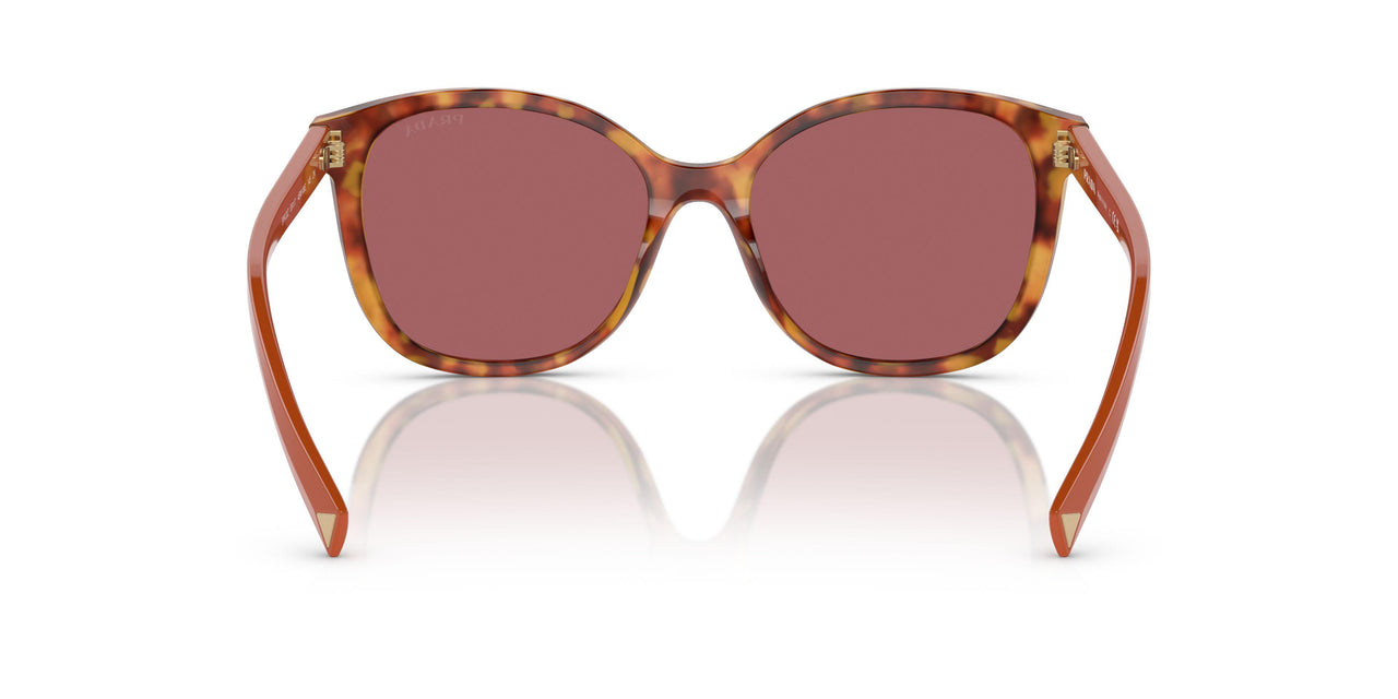 4BW08S - Tortoise - Dark Violet