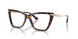 5002 - Tortoise