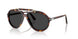 24/48 - Tortoise - Polar Black