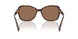 500373 - Tortoise - Brown