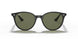 601/9A - Black - Polar Green