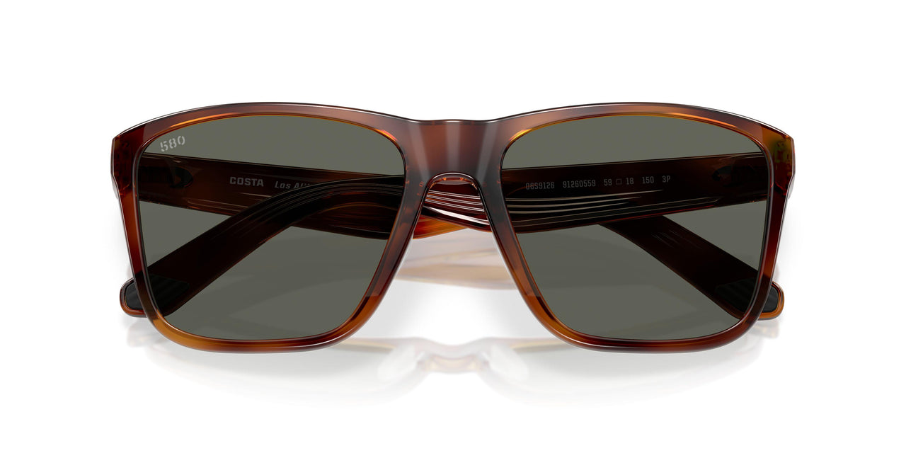 912605 - Tortoise - Gray