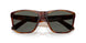 912605 - Tortoise - Gray
