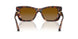 40319P - Tortoise - Brown Gradient Polar