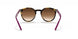 706468 - Transparent Fuxia - Violet Gradient Brown