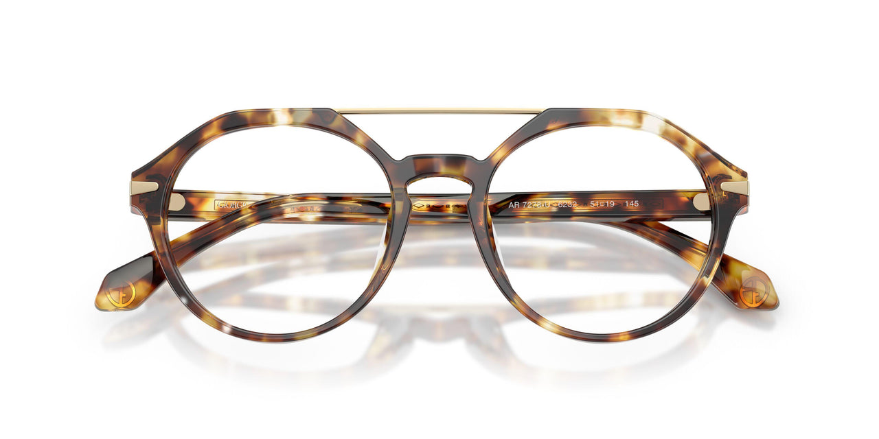 6232 - Tortoise