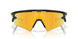 949908 - Black - Prizm 24k Polarized