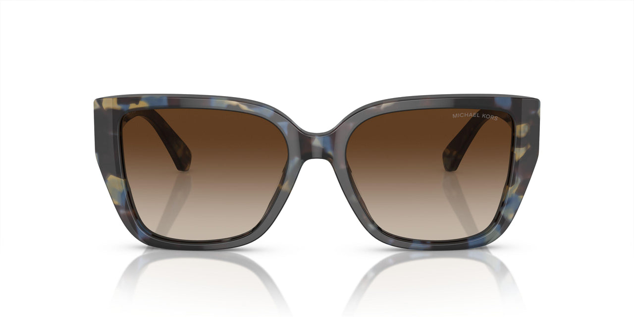 395213 - Bright Blue Tortoise - Brown Gradient
