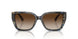 395213 - Bright Blue Tortoise - Brown Gradient