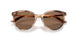 509773 - Tortoise - Dark Brown