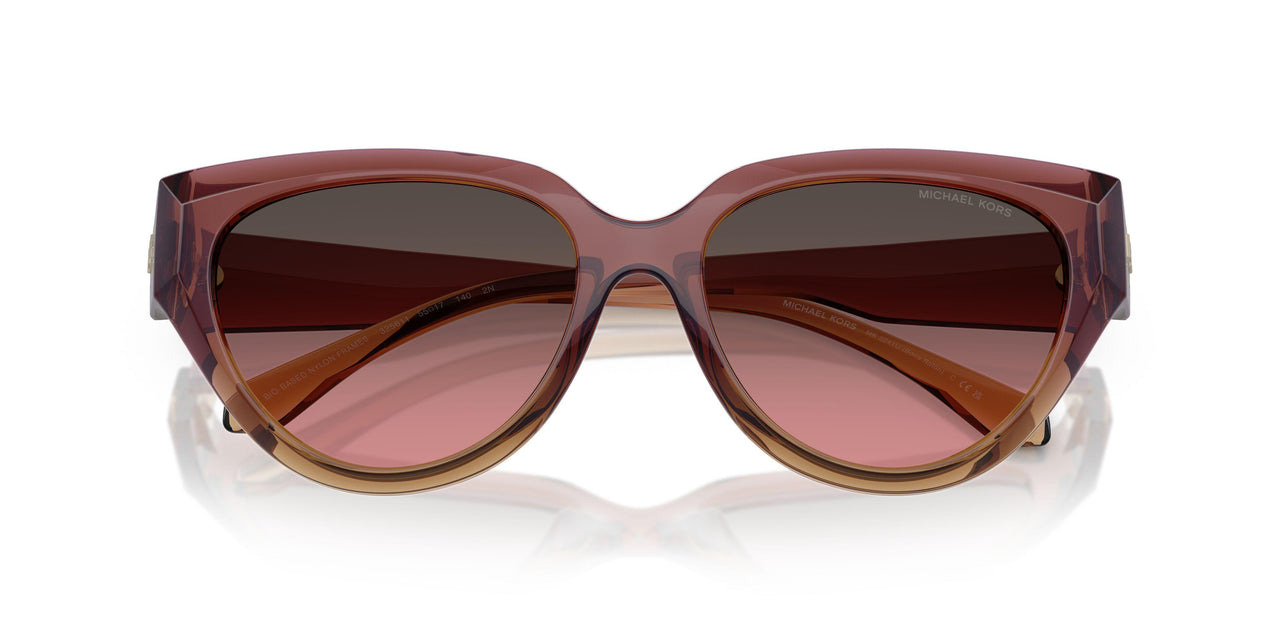 325611 - Pink - Brown Rose Gradient