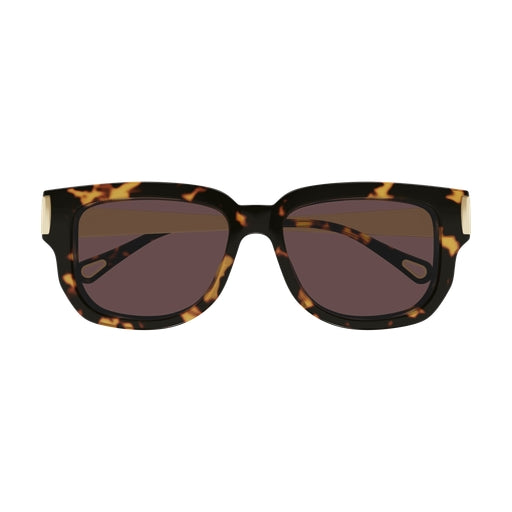 003 - Havana/Gold - Violet