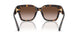 198113 - Tortoise - Brown