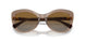 2940T5 - Brown - Polarized Brown Gradient