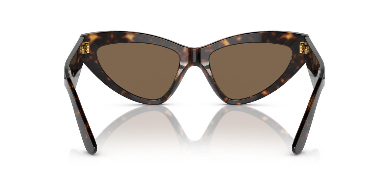 502/73 - Tortoise - Dark Brown