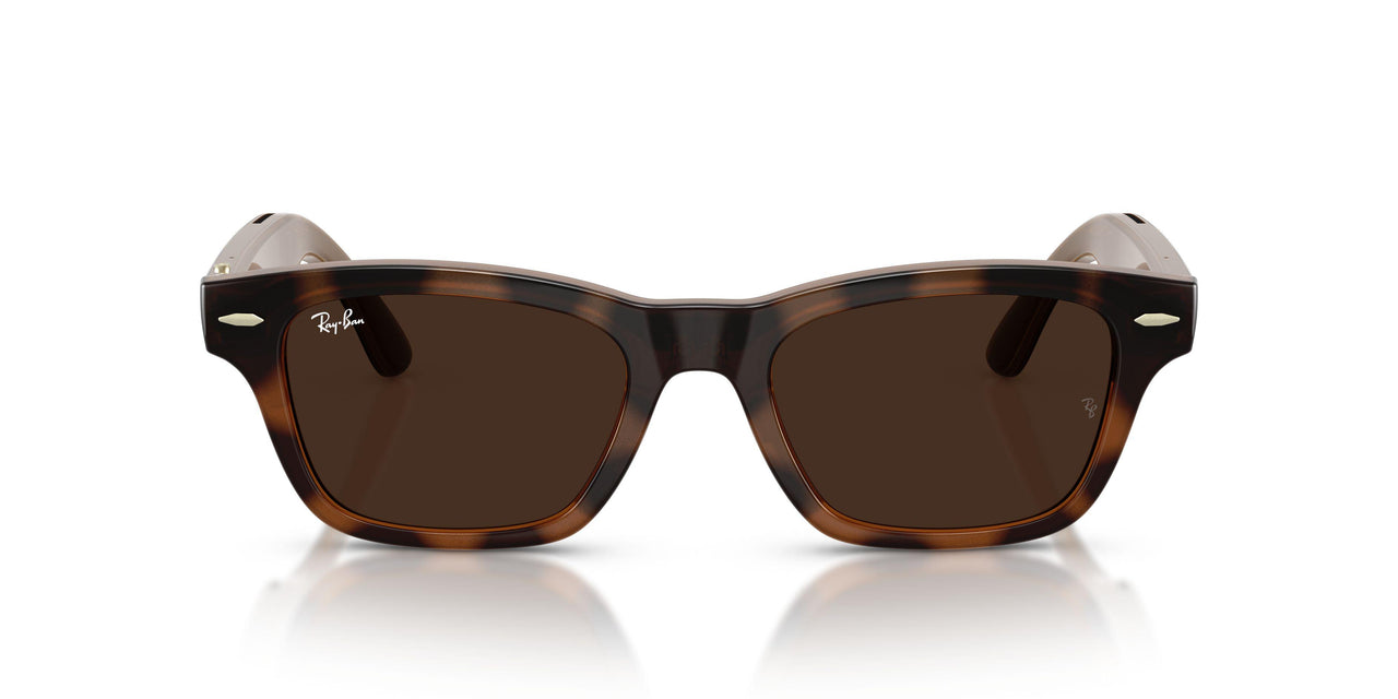 6928M4 - Tortoise - Clear/brown