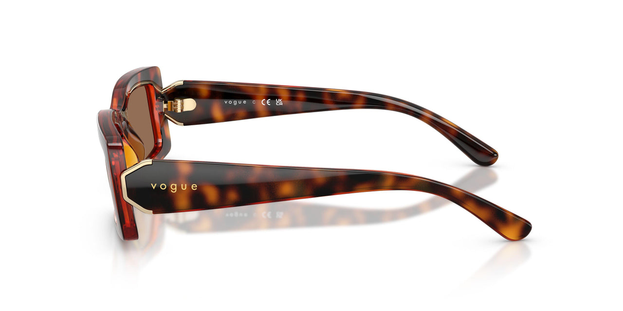 W65673 - Brown - Dark Brown