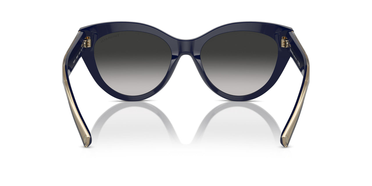 83963C - Blue - Grey Gradient