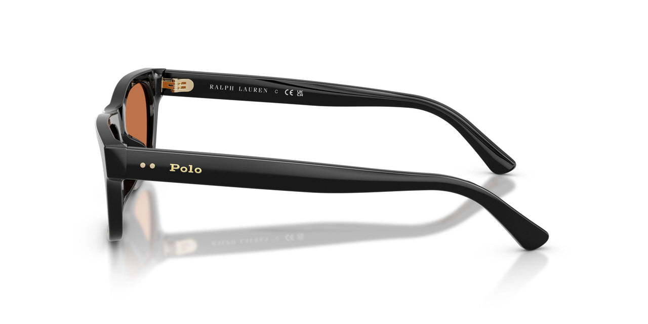 500173 - Black - Brown