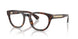 4205 - Brown