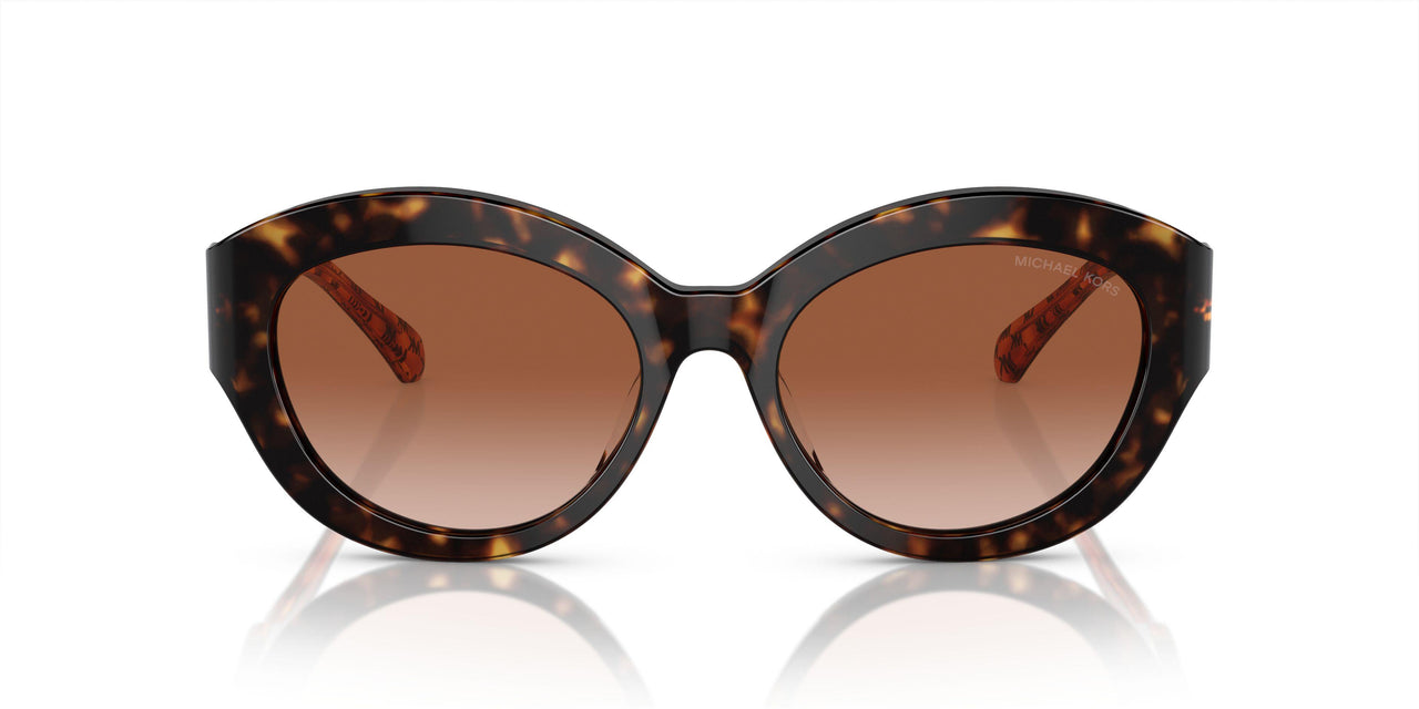 300613 - Tortoise - Brown Gradient
