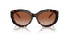 300613 - Tortoise - Brown Gradient