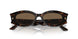500273 - Tortoise - Dark Brown