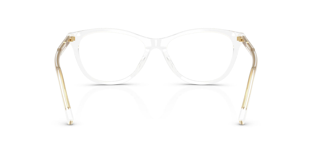 3133 - Transparent