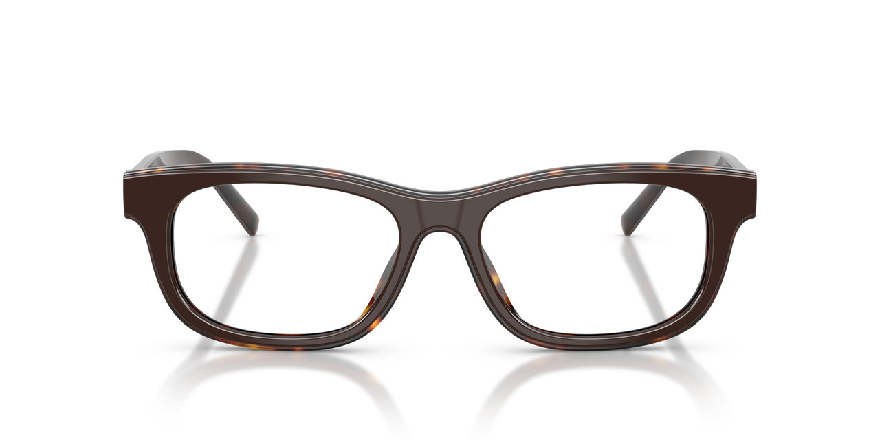2069 - Brown
