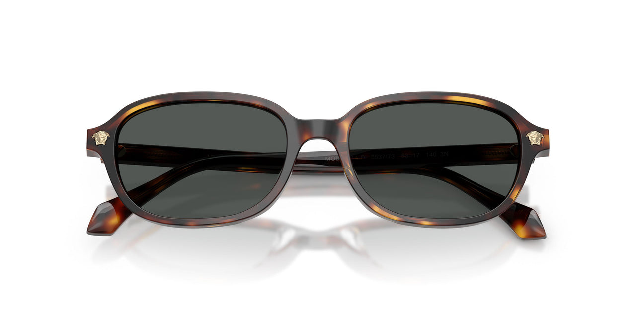553773 - Tortoise - Dark Brown