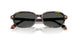 553773 - Tortoise - Dark Brown