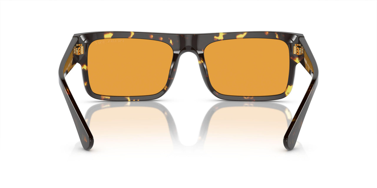 16O20C - Brown - Yellow Polar