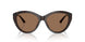 512573 - Brown - Dark Brown