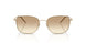300213 - Gold - Clear Gradient Light Brown
