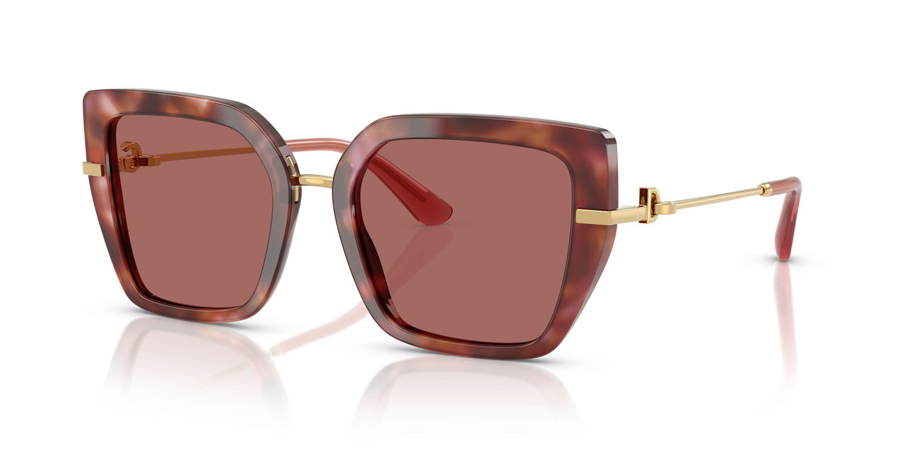 344469 - Tortoise - Dark Violet