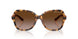 811713 - Havana - Dark Brown Gradient