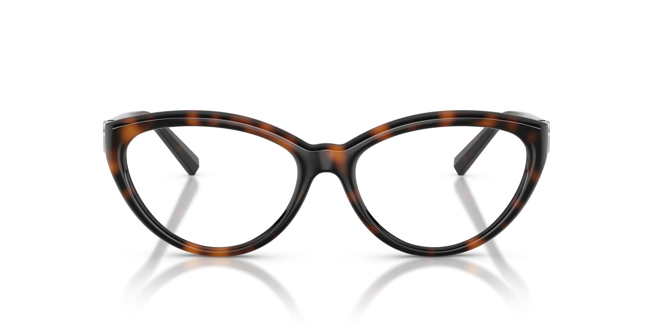 8015 - Tortoise