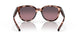 905109 - Orange - Rose Gradient