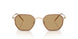 300273 - Gold - Brown