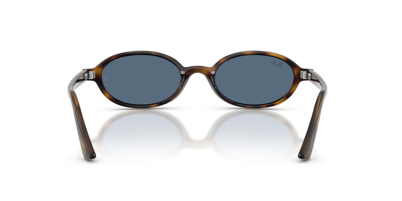 135980 - Tortoise - Dark Blue