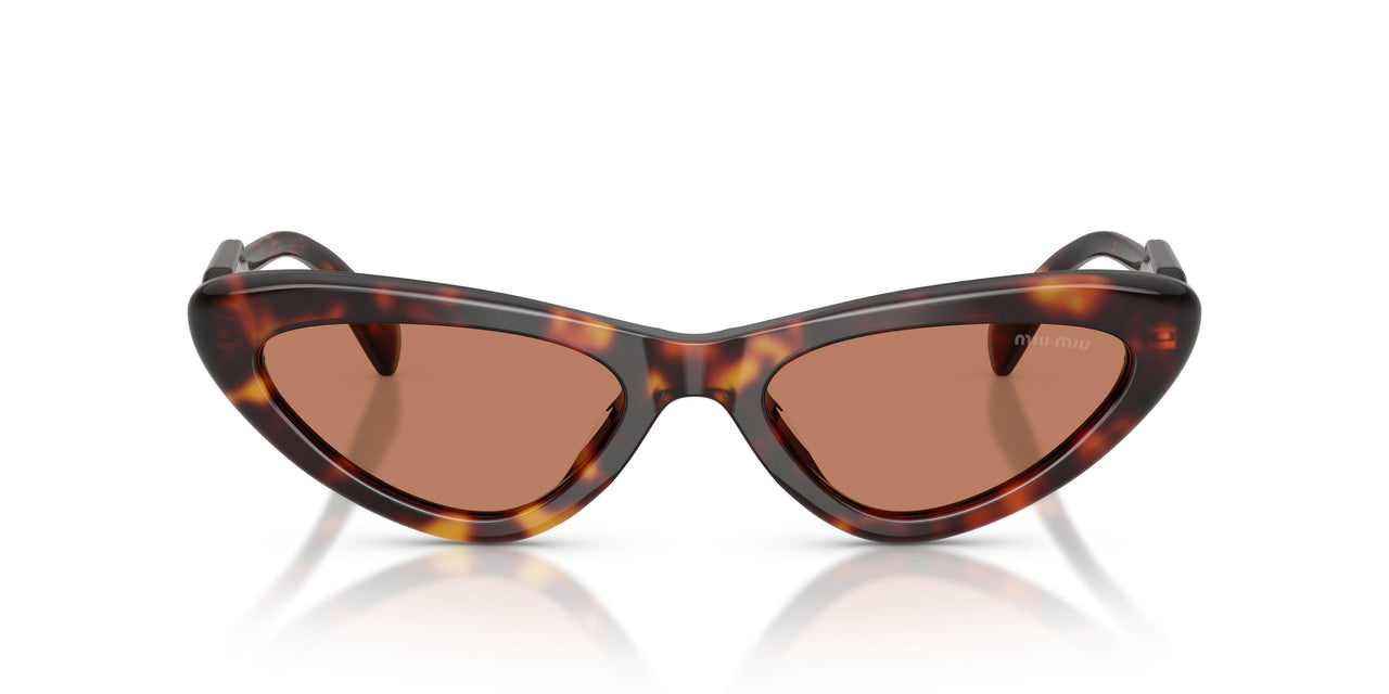 27L90Q - Tortoise - Brown