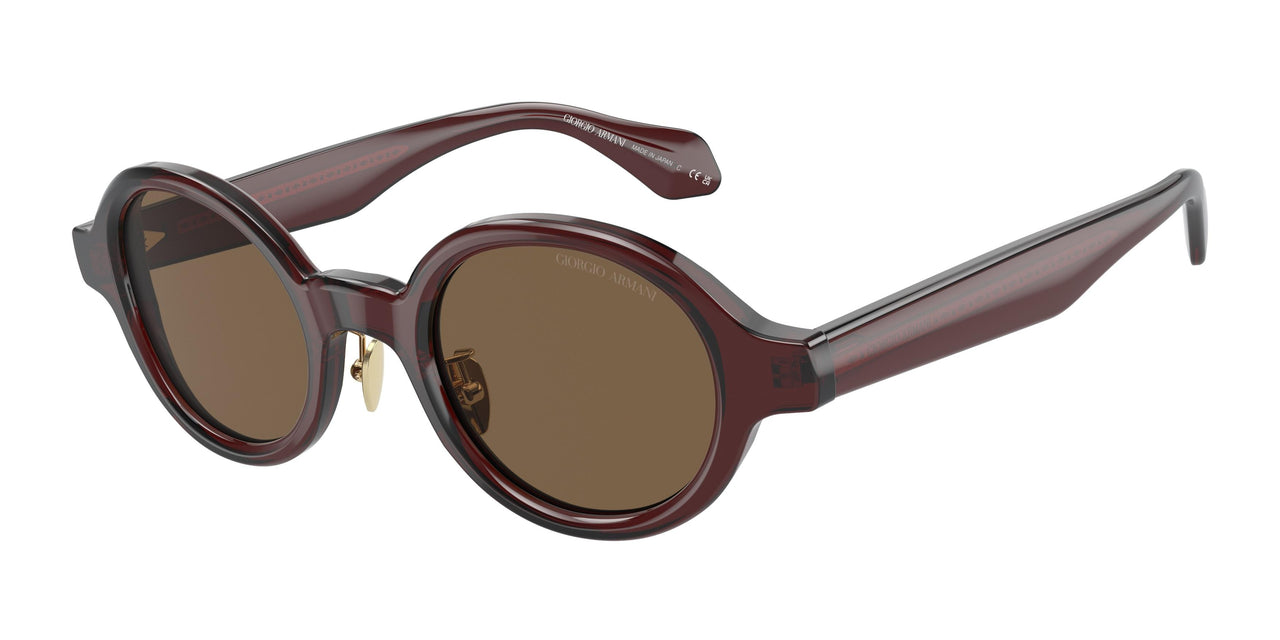 606273 - Brown - Dark Brown