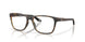 802404 - Tortoise